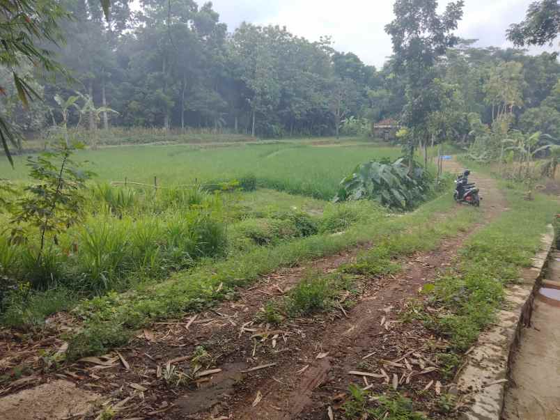 dijual tanah ciwangi beber