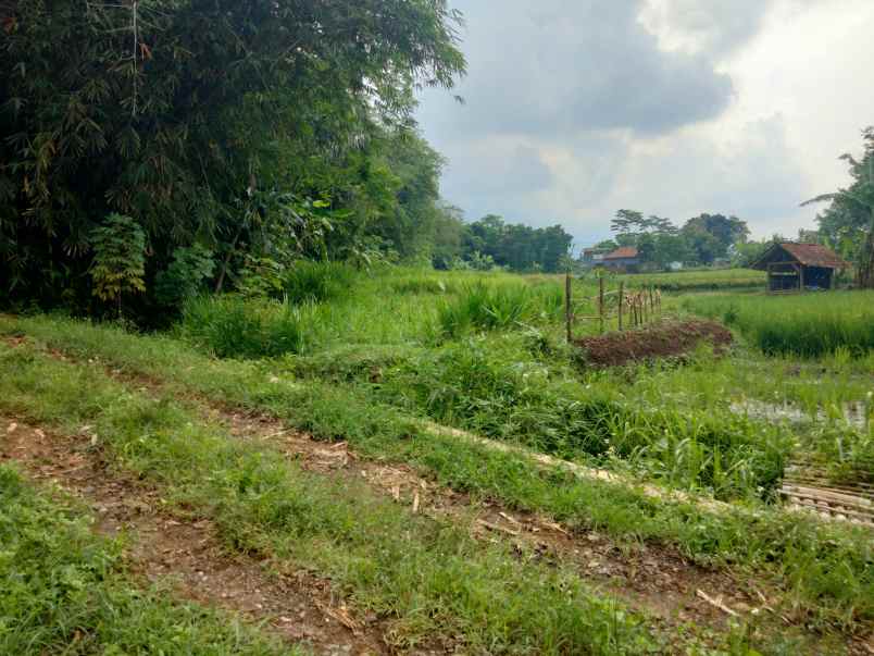 dijual tanah ciwangi beber