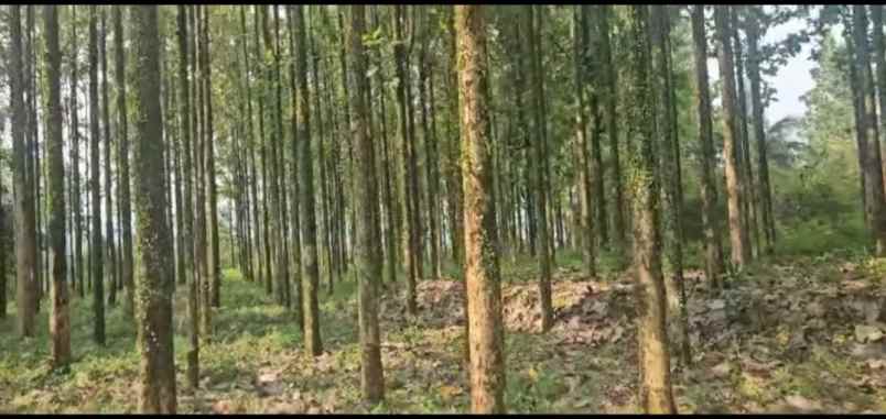 dijual tanah cocok gudang perumahan