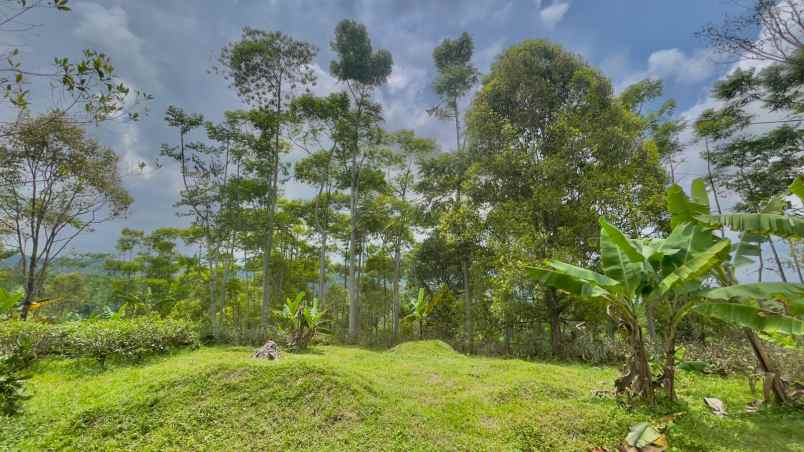 dijual tanah darangdan