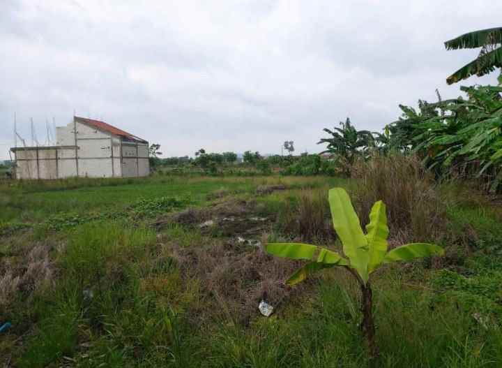 dijual tanah dekat perumahan di mranggen demak