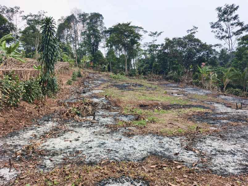 dijual tanah desa sadarkarya darangdan