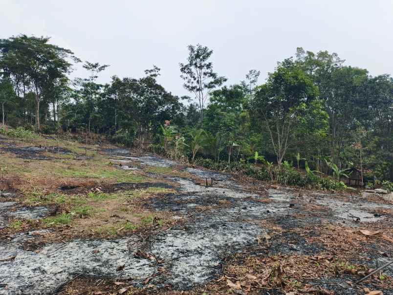 dijual tanah desa sadarkarya darangdan