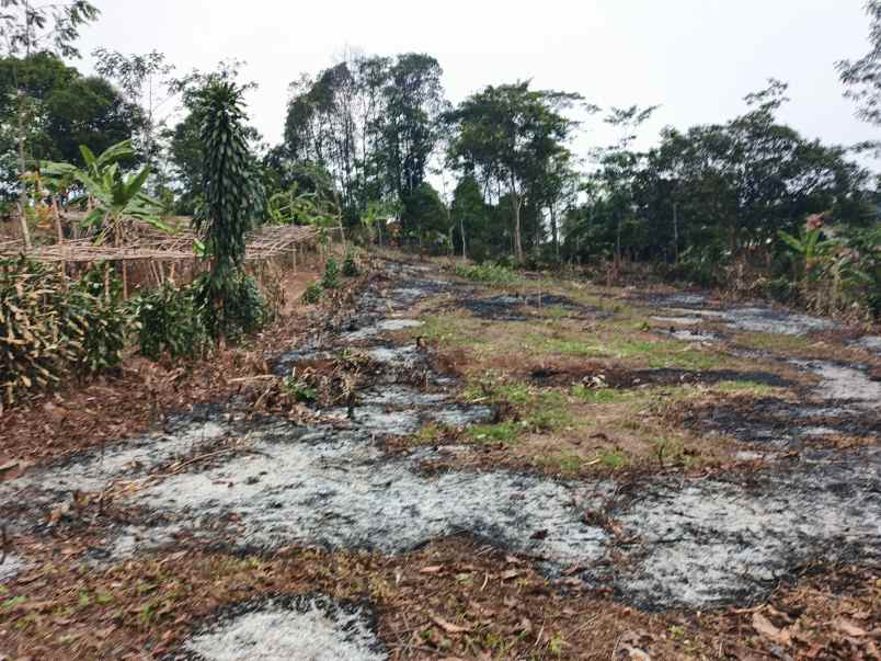 dijual tanah desa sadarkarya darangdan