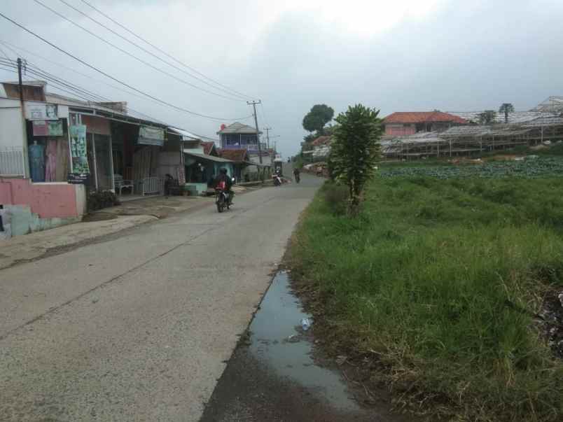 dijual tanah desa tugumukti kecamatan