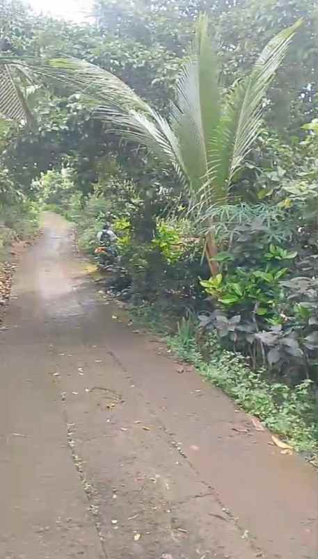 dijual tanah ds mundeh kangin kec