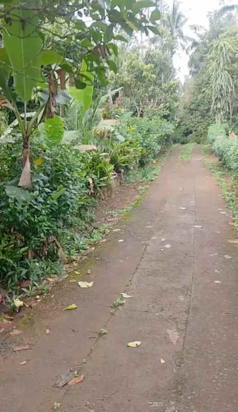 dijual tanah ds mundeh kangin kec