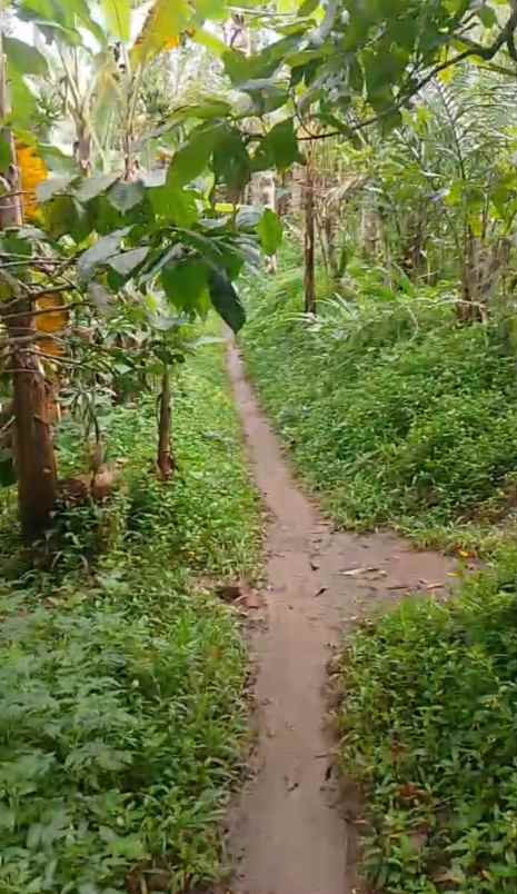 dijual tanah ds mundeh kangin kec