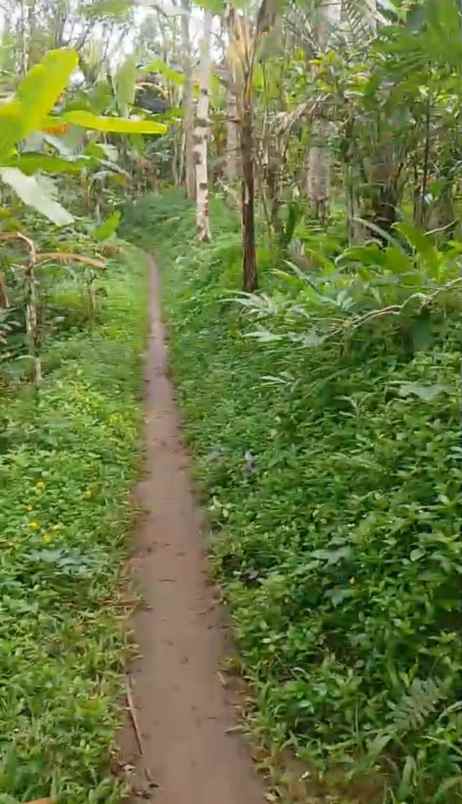 dijual tanah ds mundeh kangin kec