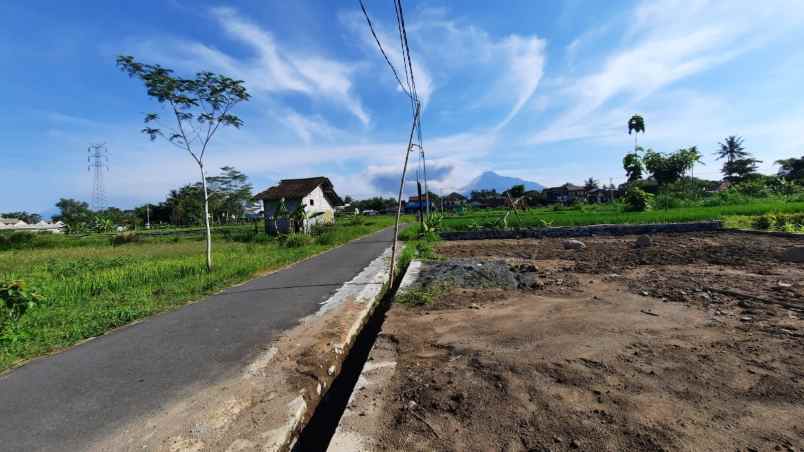 dijual tanah jalan palagan sariharjo