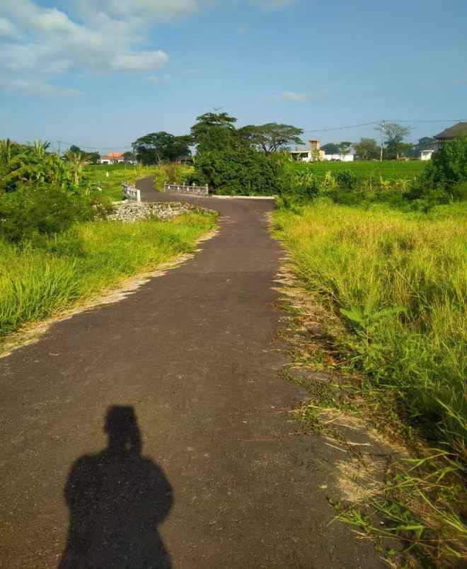 dijual tanah jalan pantai seseh