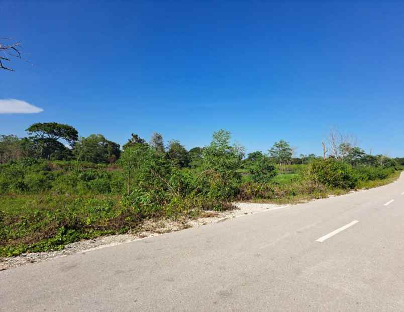 dijual tanah jalan pantura desa hameli