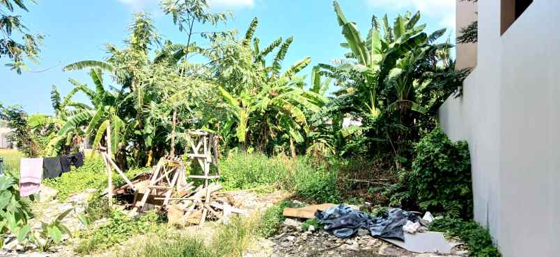 dijual tanah jalan pura wates canggu