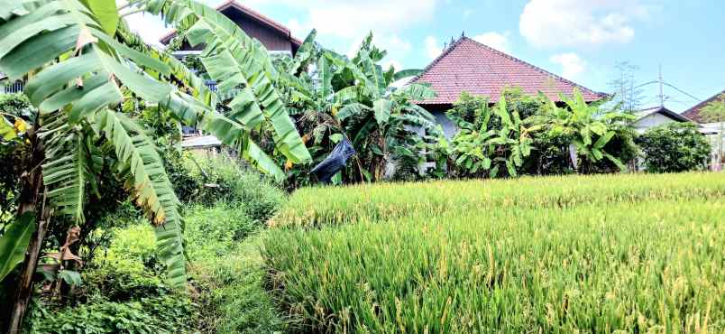 dijual tanah jalan pura wates canggu