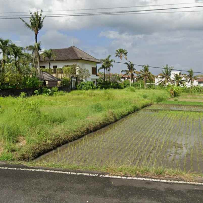 dijual tanah jl batu tampih kawan