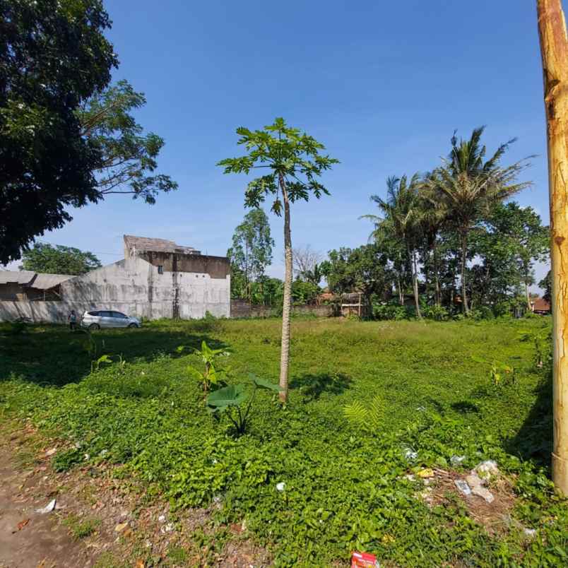 dijual tanah jl cipanas baru pananjung