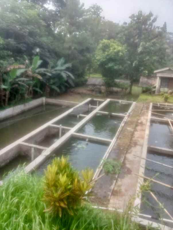 dijual tanah jl raya sukabumi cigombong