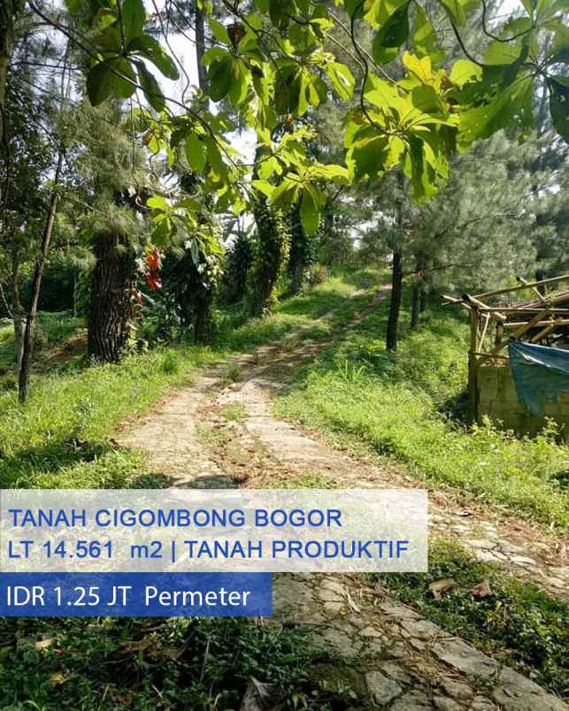 dijual tanah jl raya sukabumi cigombong