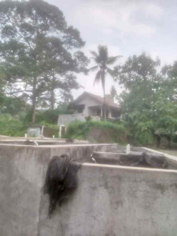 dijual tanah jl raya sukabumi cigombong