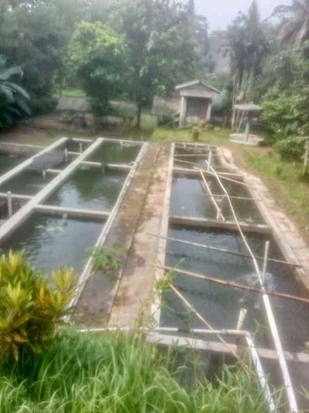 dijual tanah jl raya sukabumi cigombong