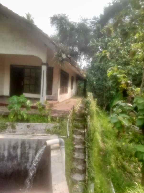 dijual tanah jl raya sukabumi cigombong