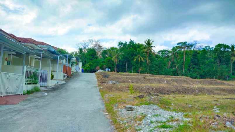 dijual tanah kaliberot sedayu bantul