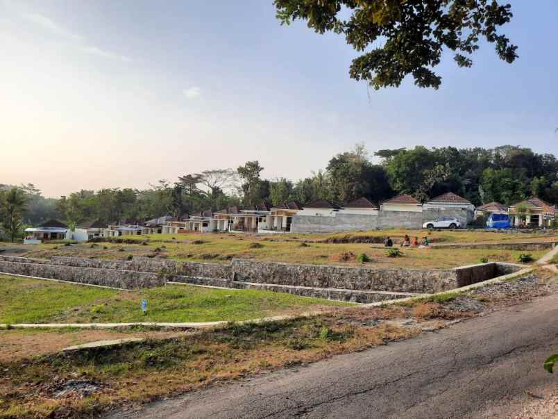 dijual tanah kaliberot sedayu bantul