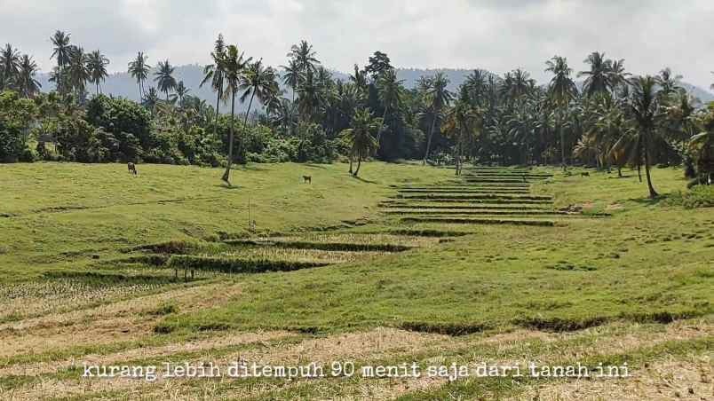 dijual tanah kawasan wisata balian