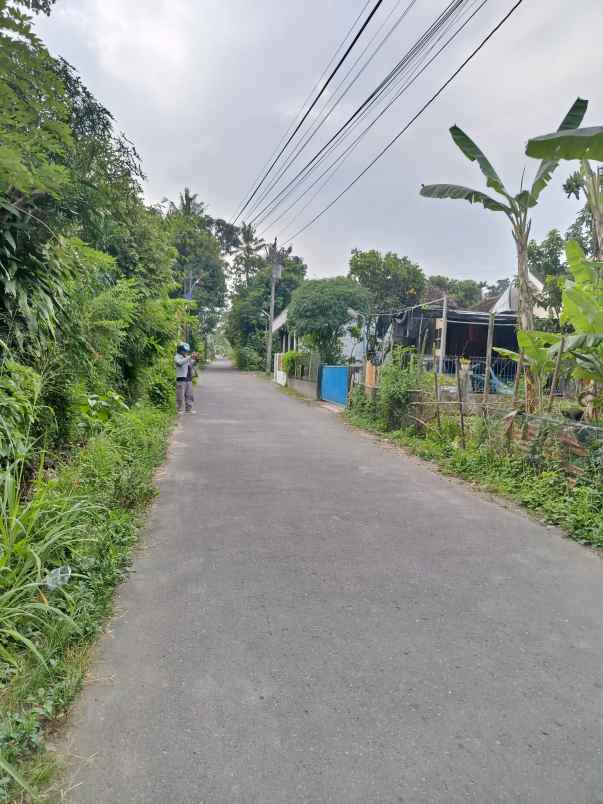 dijual tanah kayen blotan