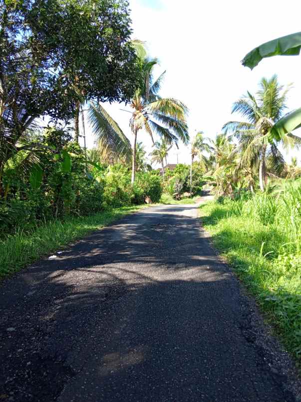 dijual tanah kebun produktif murah tempat strategis