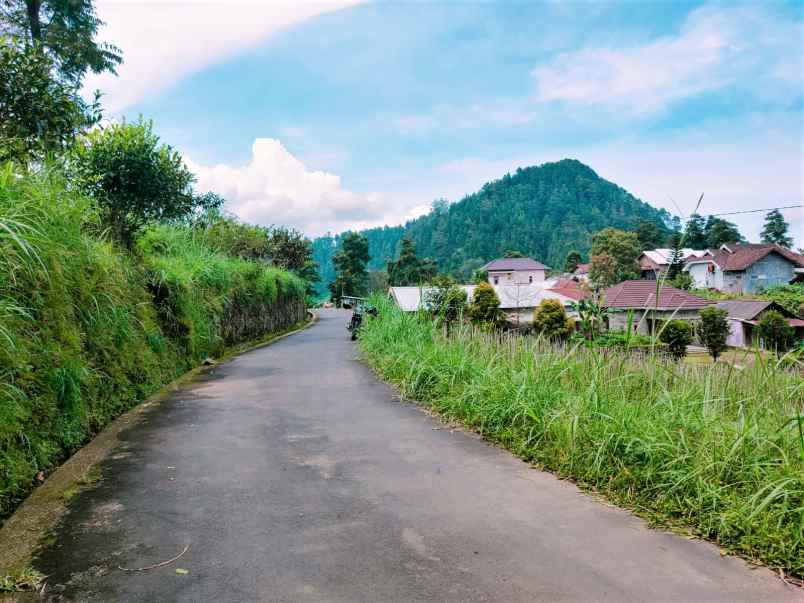 dijual tanah kemuning ngargoyoso