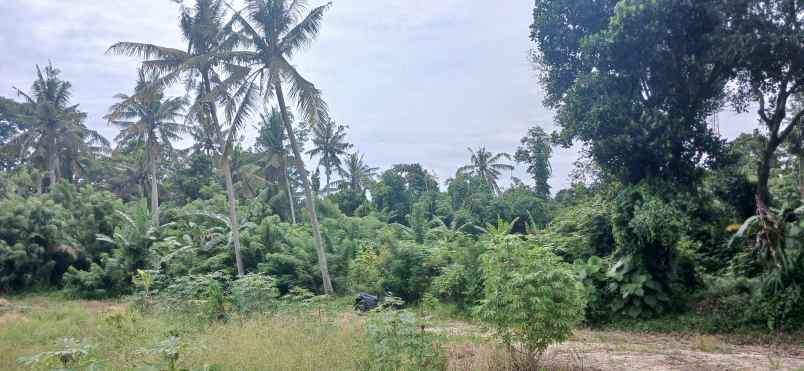 dijual tanah kerambitan tabanan bali