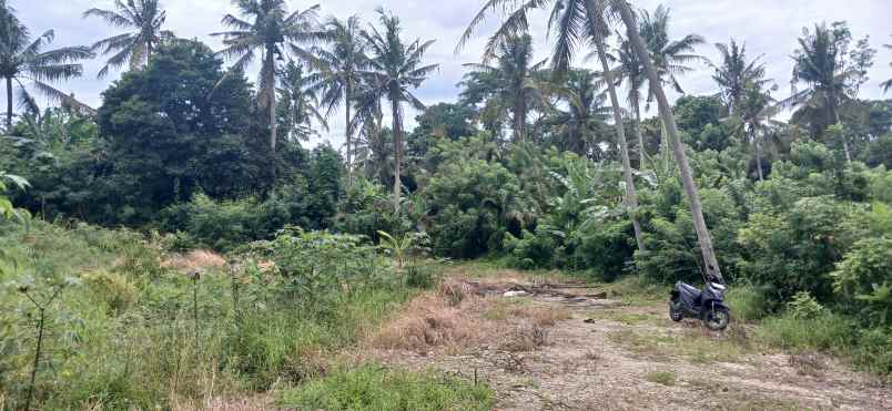dijual tanah kerambitan tabanan bali