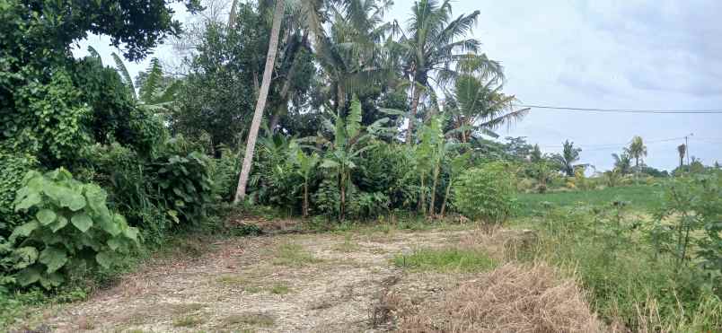 dijual tanah kerambitan tabanan bali