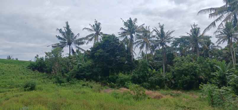 dijual tanah kerambitan tabanan bali