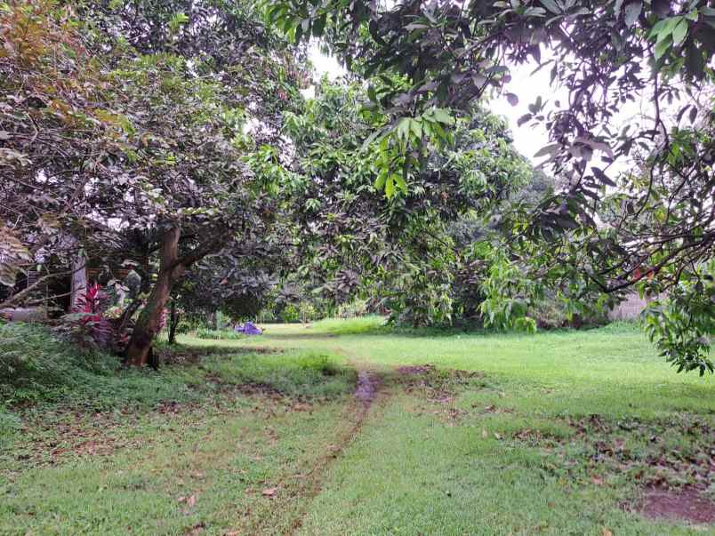 dijual tanah kota wisata cibubur