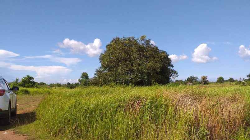 dijual tanah lokasi strategis dan