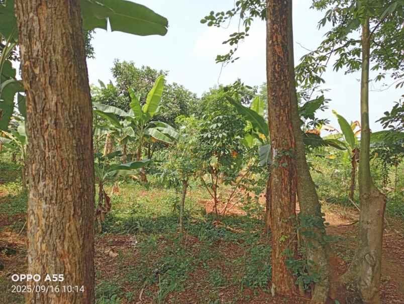 dijual tanah lokasi strategis di purwakarta