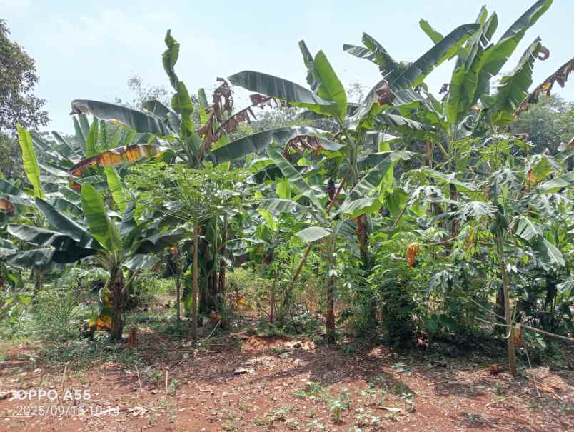 dijual tanah lokasi strategis di purwakarta