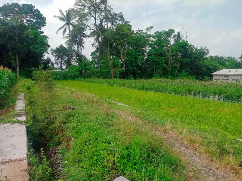 dijual tanah manisrenggo