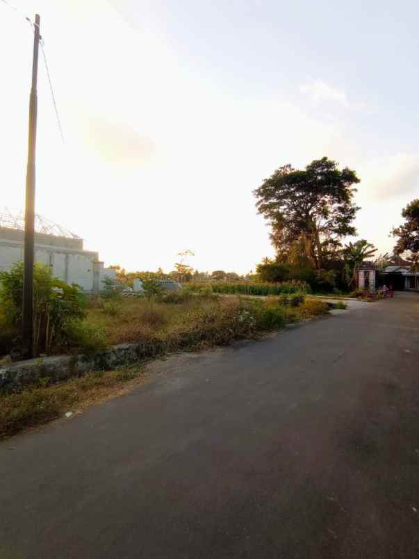 dijual tanah mindi kaliurang km 12 5