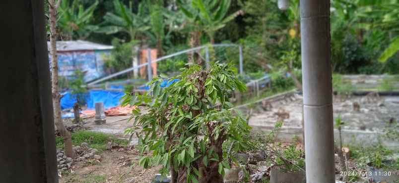 dijual tanah murah cocok untuk bikin rumah hunian