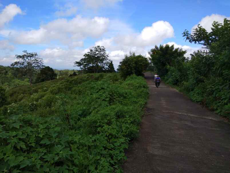 dijual tanah ngadireso poncokusumo malang