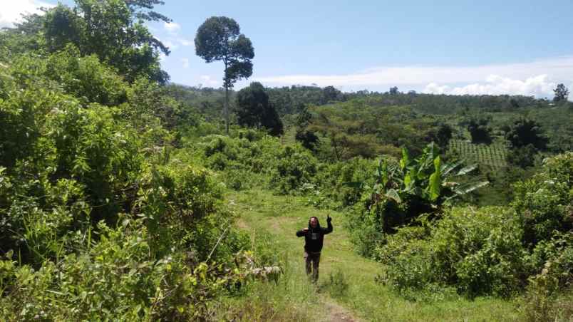 dijual tanah ngadireso poncokusumo malang