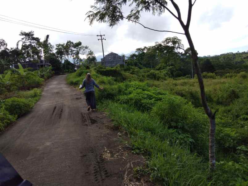 dijual tanah ngadireso poncokusumo malang