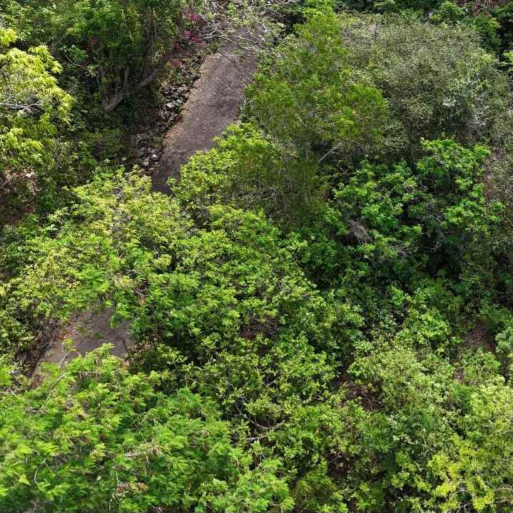 dijual tanah pantai balangan