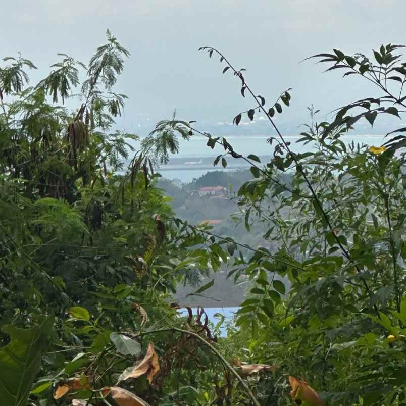 dijual tanah pantai balangan