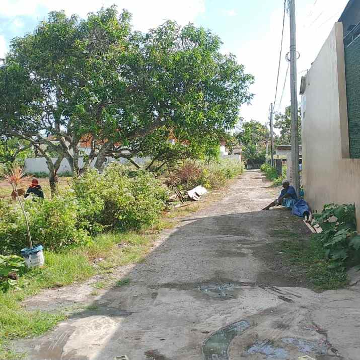 dijual tanah pantai balangan