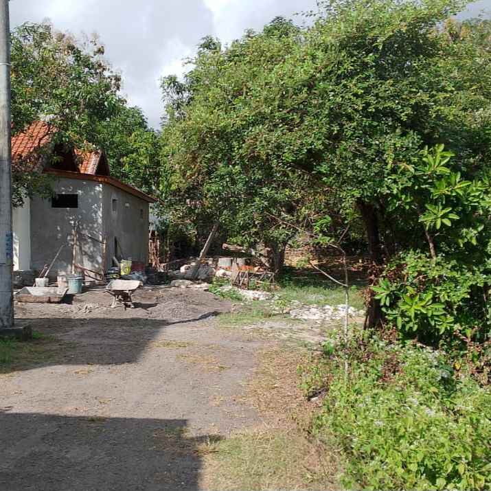 dijual tanah pantai balangan