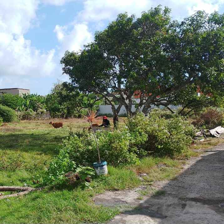 dijual tanah pantai balangan